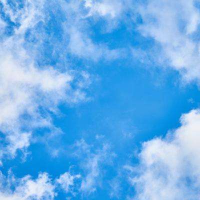 手机最快开奖结果